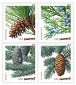2010 Holiday Evergreen-USPS Forever Stamps（Booklet）