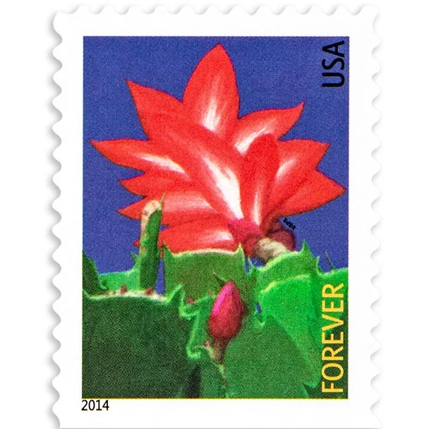 2014-winter-flowers-usps-forever-stamps-authentic-postage-authstamps (1) 2014 Winter Flowers-USPS Forever Stamps(Booklet) - Image 1