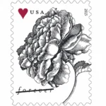 2015 Vintage Rose-USPS Forever Stamps（Sheet）