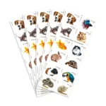 2016 Pets Celebrate Animals-USPS Forever Stamps（Booklet） - Image 2