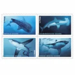 2017 Sharks-USPS Forever Stamps（Sheet）