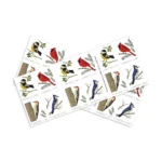 2018 Birds in Winter-USPS Forever Stamps（Booklet） - Image 2