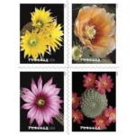 2019 Cactus Flowers-USPS Forever Stamps（Booklet）