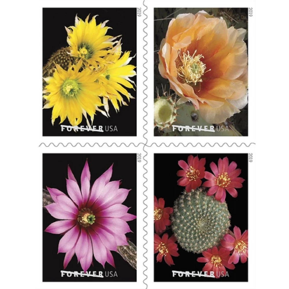 2019-cactus-flowers-usps-forever-stamps-authentic-postage-authstamps (2) 2019 Cactus Flowers-USPS Forever Stamps(Booklet) - Image 1