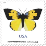 2019 California Dogface Butterfly-Non-machinable for Square Stamps（Sheet）