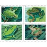2019 Frogs-USPS Forever Stamps（Booklet）
