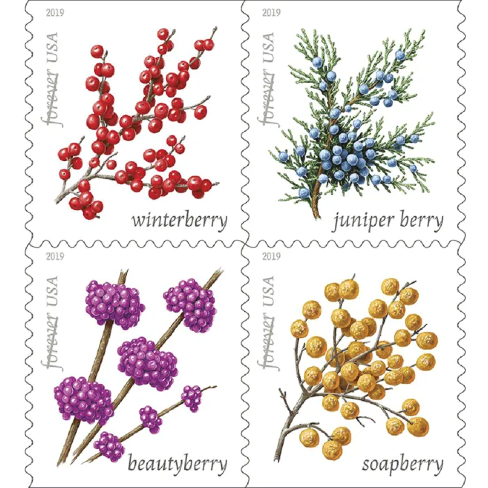 2019-winter-berries-usps-forever-stamps-authentic-postage-authstamps (2) 2019 Winter Berries-USPS Forever Stamps(Booklet) - Image 1