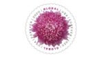 2020 Global Chrysanthemum-USPS Forever Stamps Book of 50
