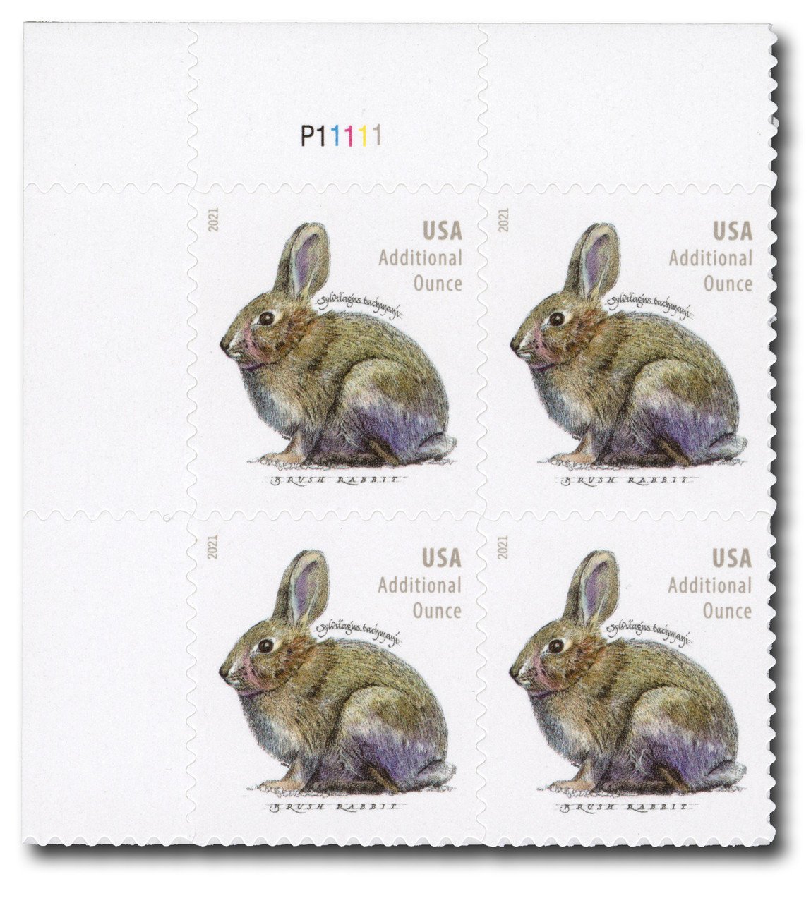 2021-bunny-week-usps-forever-stamps-authentic-postage-authstamps (1) 2021 Bunny Week-USPS Forever Stamps(Sheet) - Image 1
