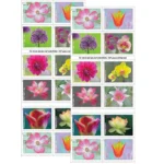 2021 Garden Beauty-USPS Forever Stamps（Booklet） - Image 2