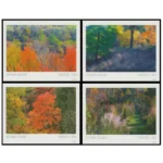 2024 Autumn Colors-USPS Forever Stamps（Sheet）