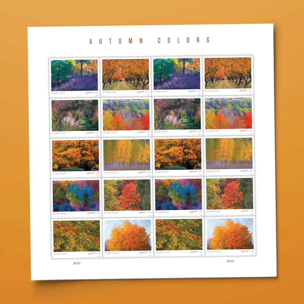 2024 Autumn Colors-USPS Forever Stamps（Sheet） - Image 2