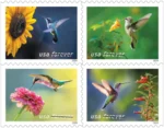 2024 Garden Delight-USPS Forever Stamps（Booklet）