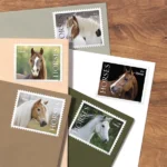 2024 Horses-USPS Forever Stamps（Sheet） - Image 2