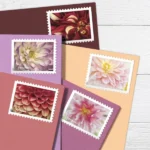 2025 Dahlias-USPS Forever Stamps（Sheet）