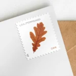 2025 Vibrant Leaves (postcard)-USPS Forever Stamps（Sheet） - Image 2