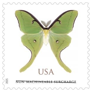 Luna Moth 2025- Non-machinable for Square Stamps 2025 Luna Moth-Non-machinable for Square Stamps(Sheet) - Image 1